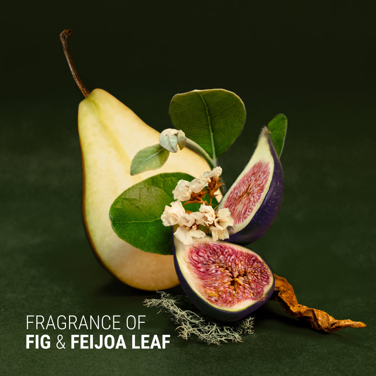 Fragrance Ingredients