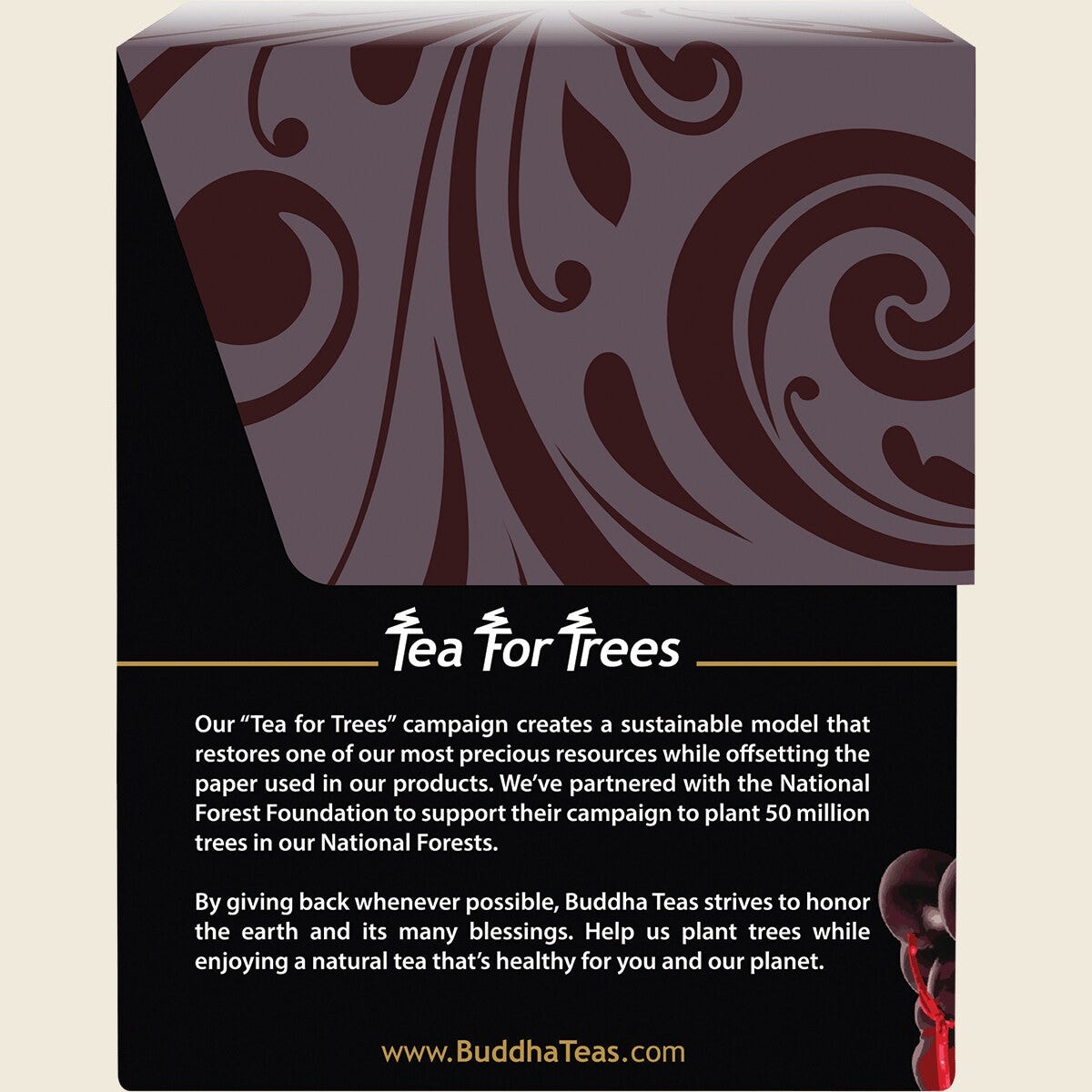 Buddha Teas Organic Herbal Tea Bags Elderberry Tea 18pk