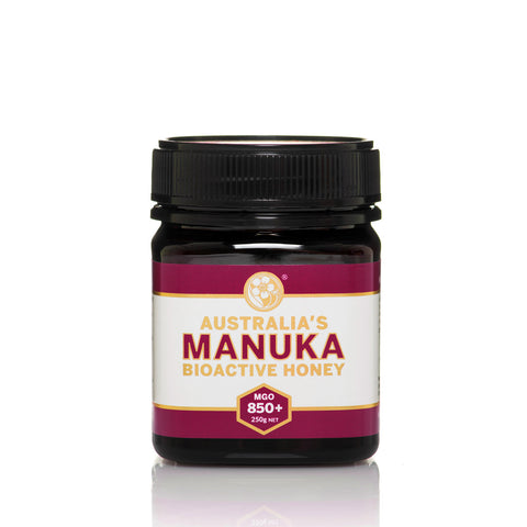 Australia's Manuka Honey Active Jellybush NPA 15+ (MGO510+) 250g