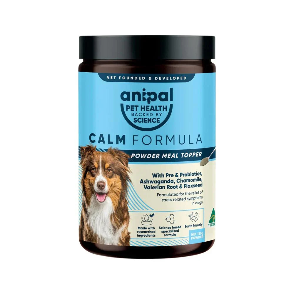 Natural Pet Care: Calm, Healthy Companions for World Animal Day