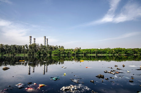 Contaminated water near factory