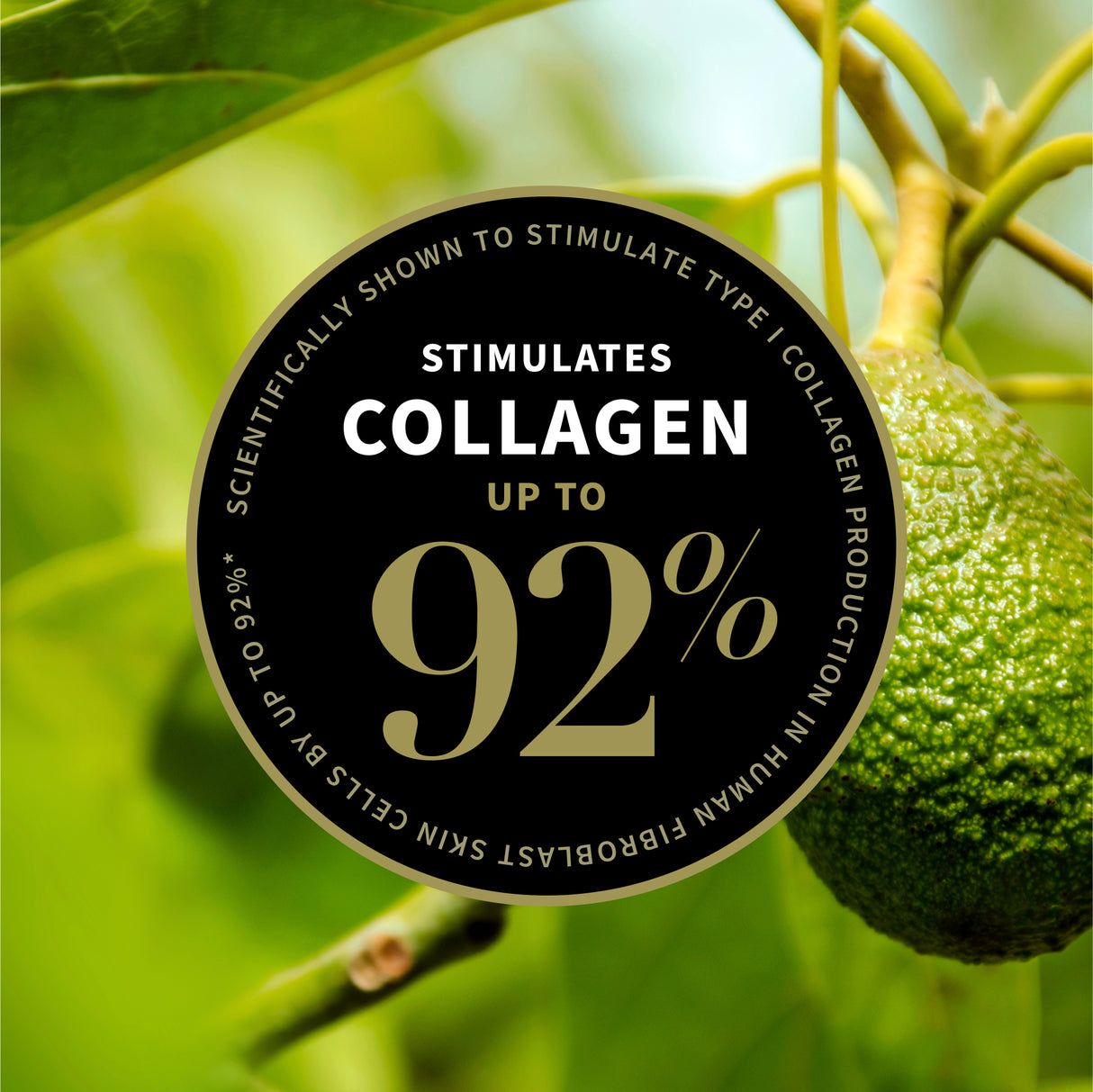Plant-based collagen 92 percent ingredient graphic Antipodes skincare