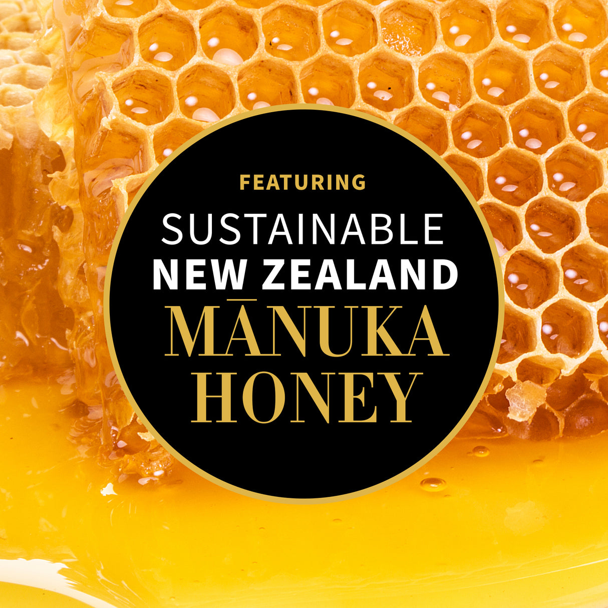 Sustainable New Zealand Manuka honey ingredient graphic honeycomb background