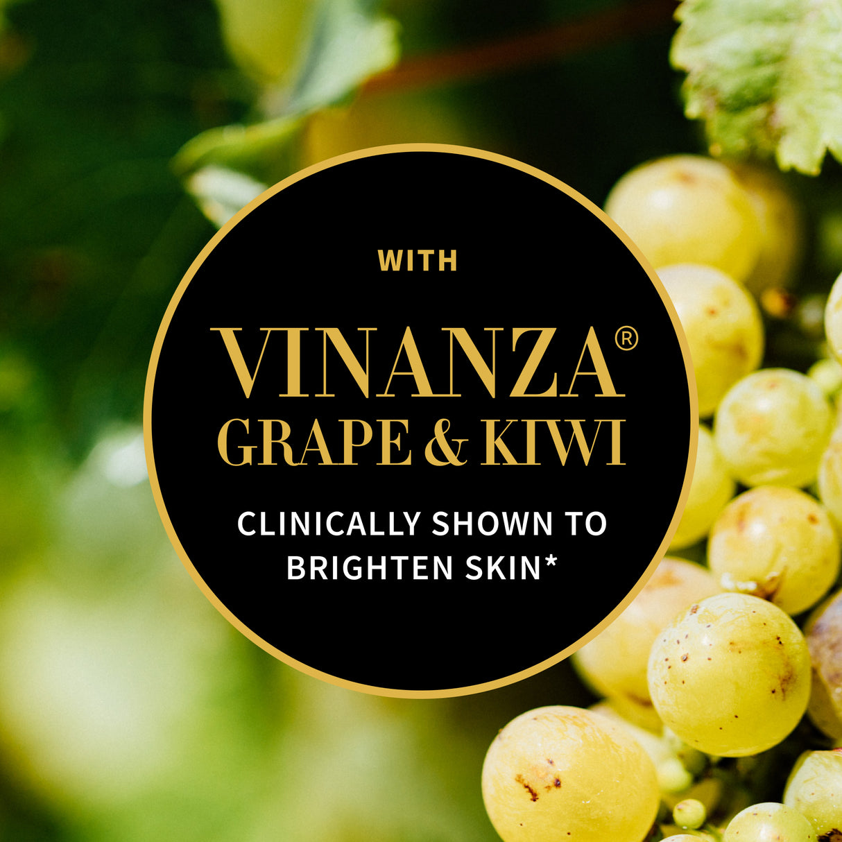 Vinanza grape and kiwi ingredient graphic Antipodes skincare