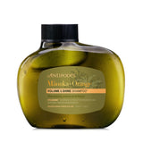 Shampoo Bottle Packshot