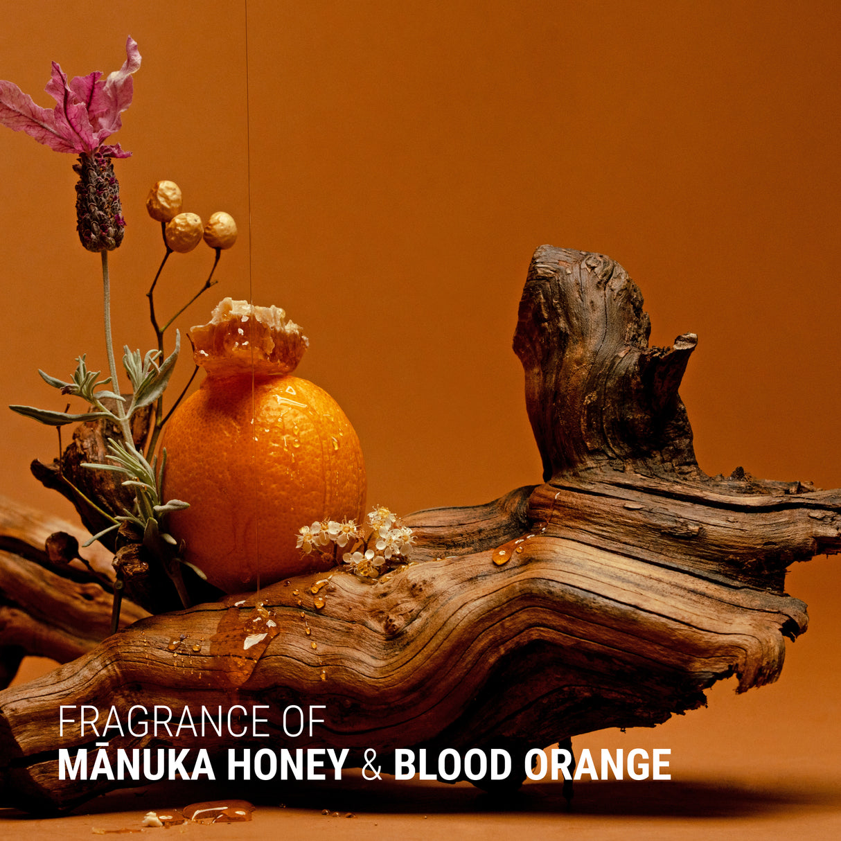 Fragrance Ingredients