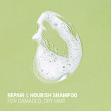 Shampoo Texture