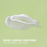 Conditioner Texture 