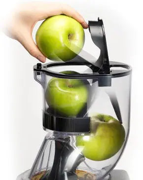Kuvings CS600 Commercial Juicer