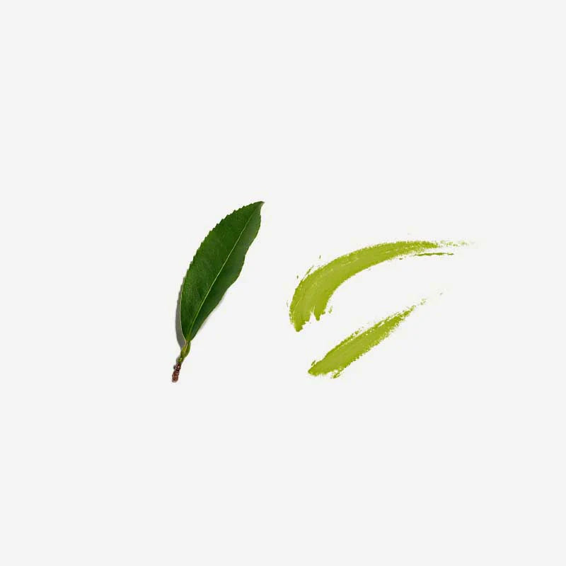 Love Tea Genmaicha Tea Loose Leaf 100g