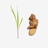 Love Tea Organic Lemongrass & Ginger Tea Loose Leaf 75g