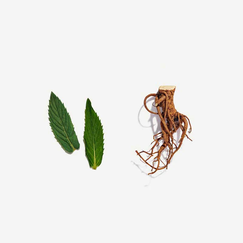 Love Tea Organic Licorice Love Loose Leaf 60g