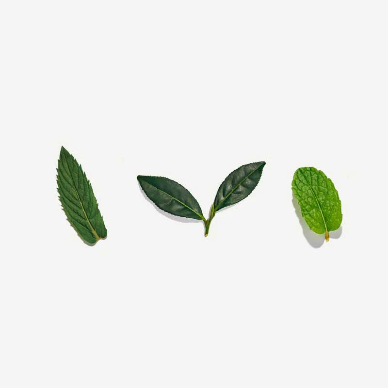Love Tea Organic Moroccan Mint Tea Loose Leaf 50g