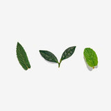 Love Tea Organic Moroccan Mint Tea Loose Leaf 50g