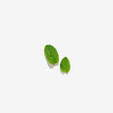 Love Tea Organic Peppermint Tea Loose Leaf 50g