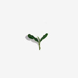 Love Tea Organic White Tea Loose Leaf 50g