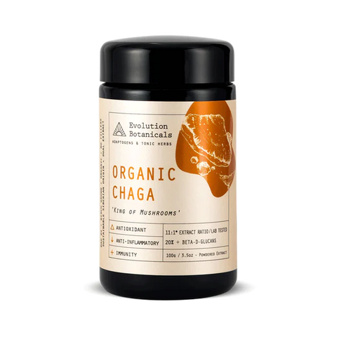 Evolution Botanicals Chaga Extract - Organic 11:1 King Of Mushrooms (Siberian Origin) 100g